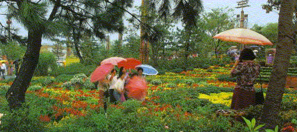 博覧会(GIF形式、約97KB)