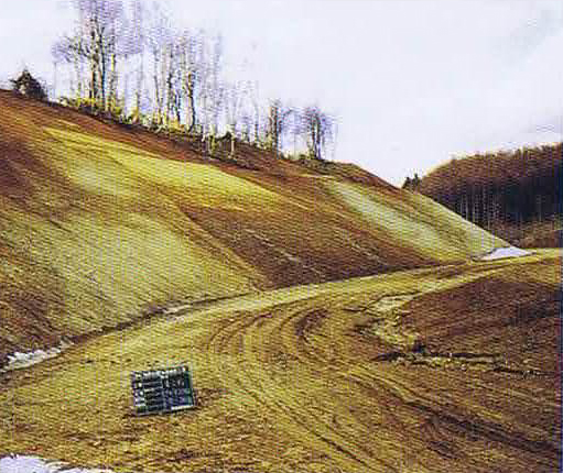 法面植栽/国営滝野すずらん丘陵公園(北海道)1