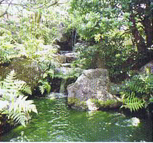 造園建設業は、自然を手本として、地域の気候や文化に配慮した空間づくりを行っています