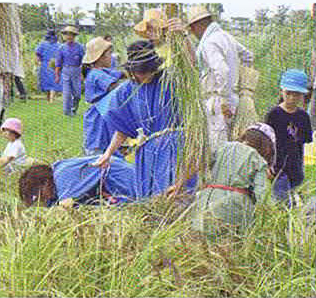 里山や農山漁村の景観保全も造園建設業の取り組みの一つです1