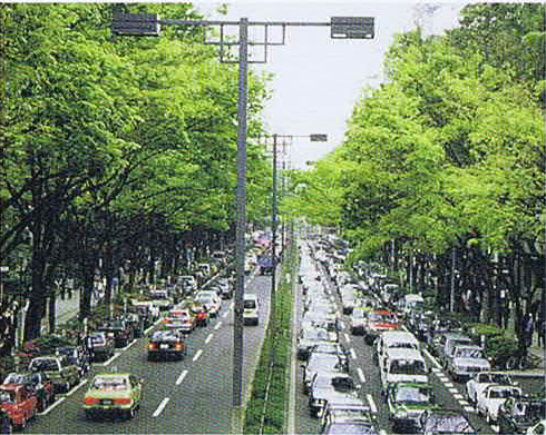 都市景観の基軸となる街路樹1